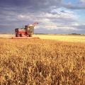 Правителството одобри  Годишен доклад за състоянието и развитието на земеделието