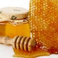 Видин е домакин на българо-сръбско пчеларско изложение