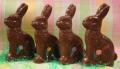 chocolate_bunnies.jpg