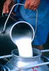 ЕК одобри „договорни отношения“ в млечния сектор